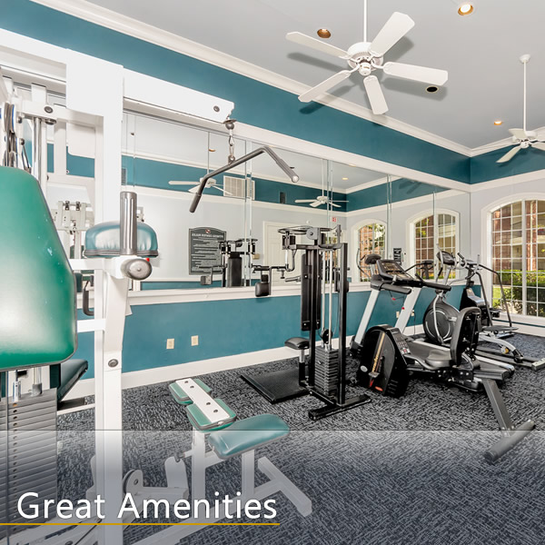 Features and Amenities